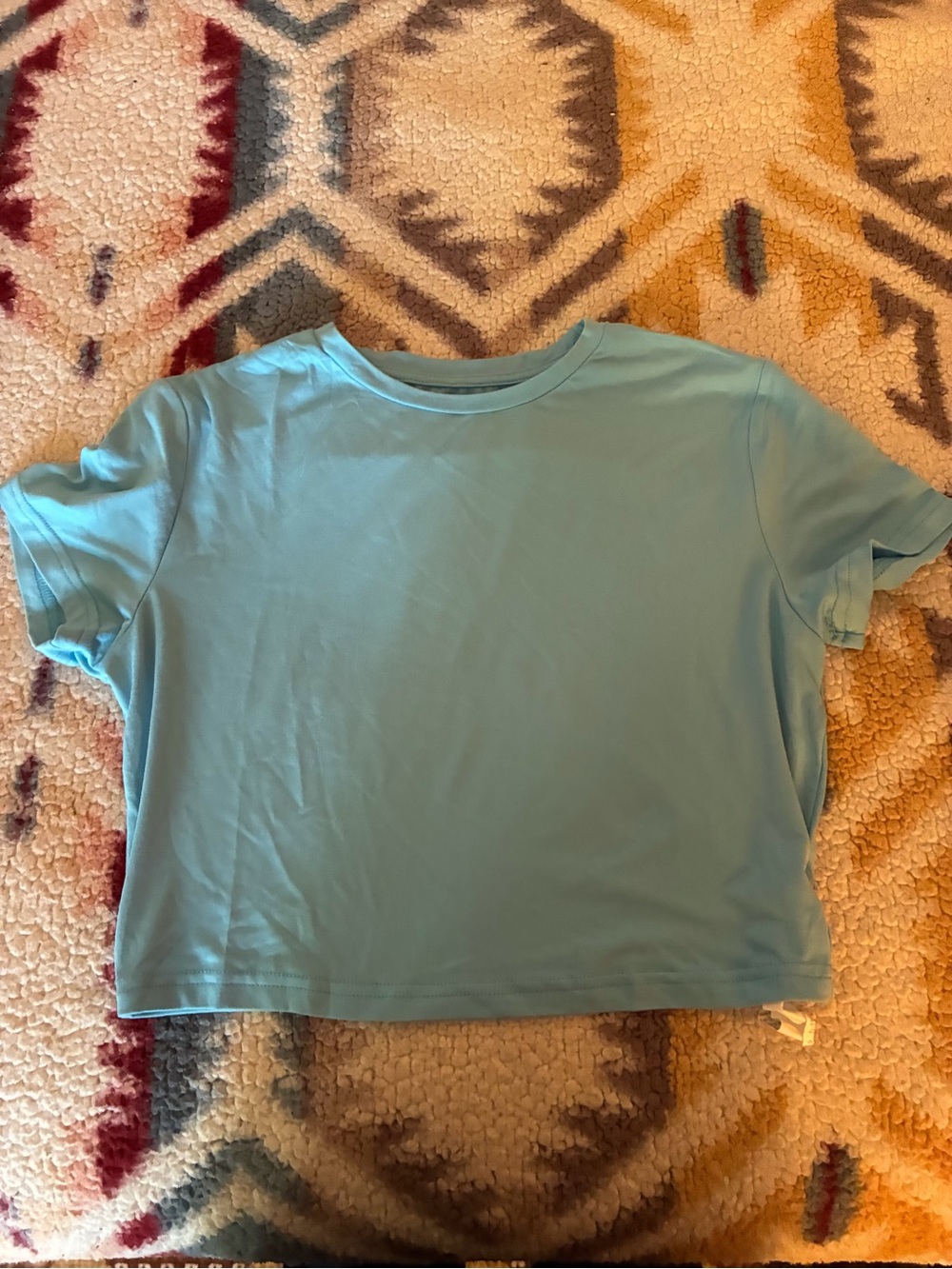 SHEIN Light Blue Crop Tee